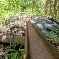 Photo of an old rail-road track in the woods